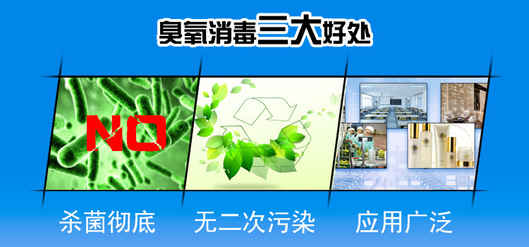详情004
